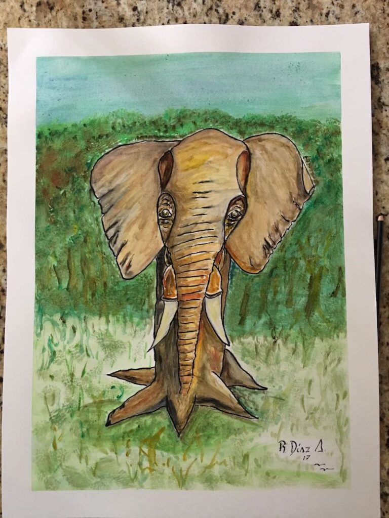 dibujo elefante ceiba