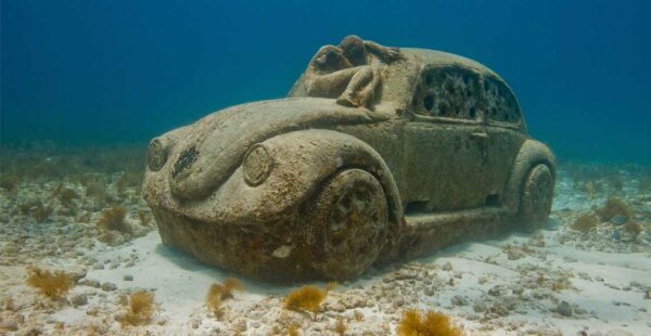 diving without any certificate diver car down ocean